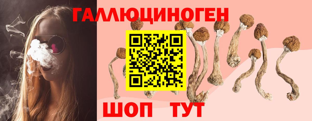 Гусев  Галлюциногенные грибы мицелий  Вход с VPN  Галлюциногенные грибы Magic Shrooms 